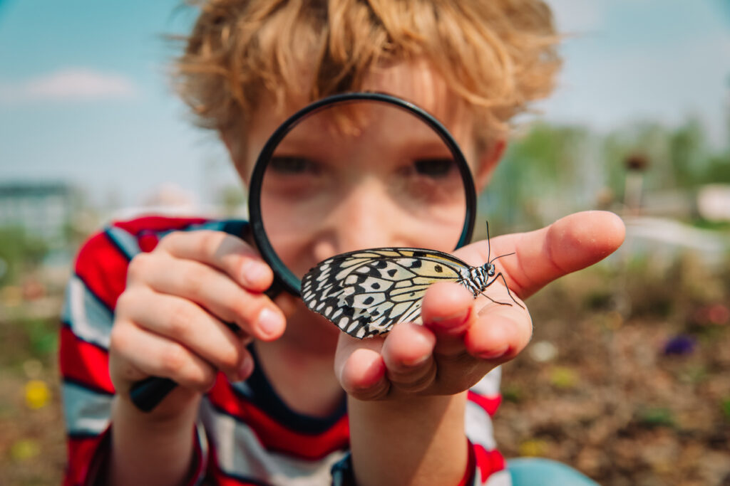 boy looking at butterfly through magnifying glass